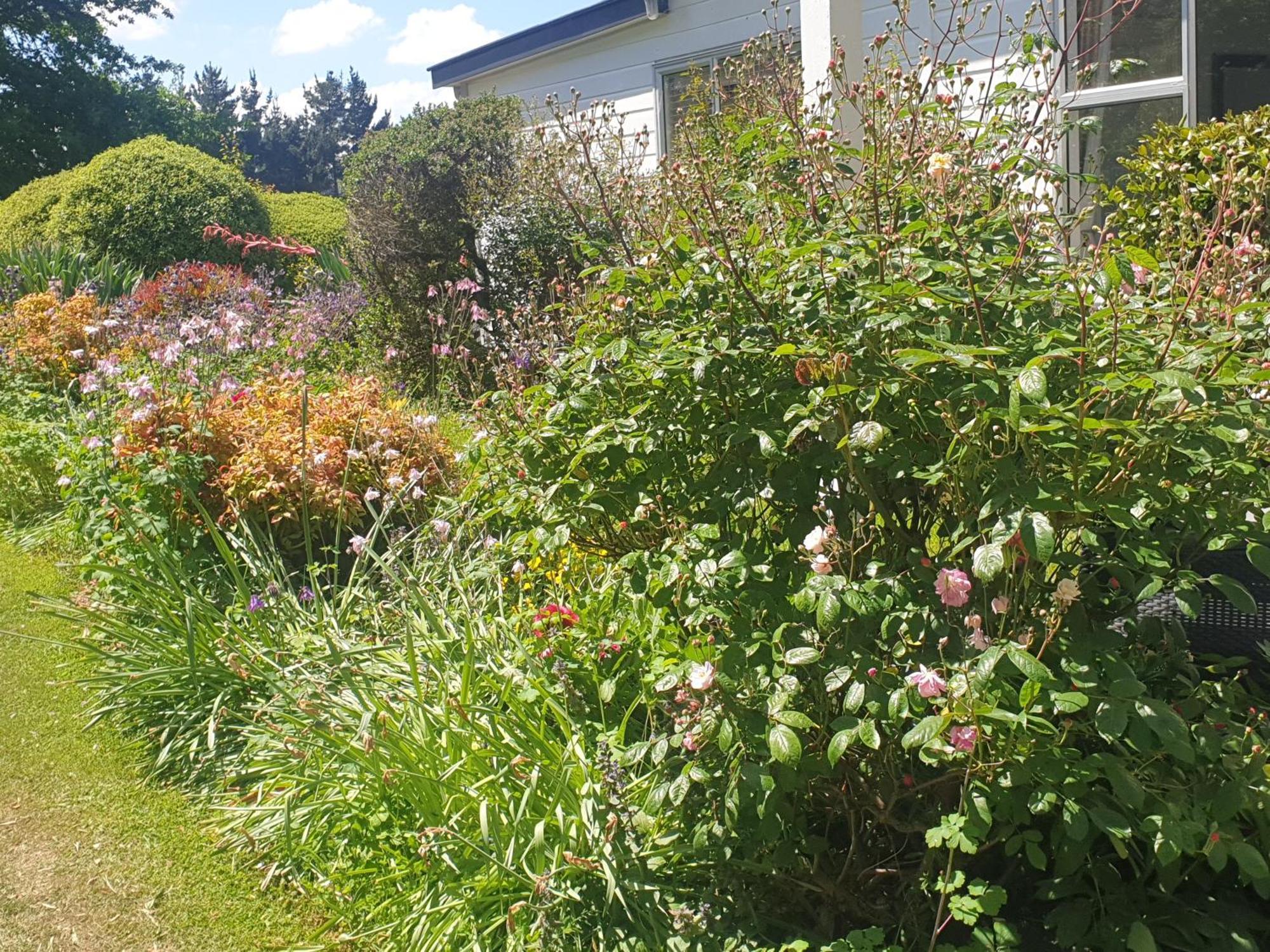 Windhaven Bed & Breakfast Duntroon Exteriör bild